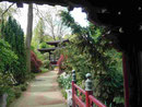 Japanischer Garten Leverkusen