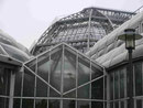 Palmenhaus des Botanischen Gartens, Berlin