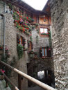 Blumenschmuck in Bondone