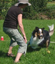 Belohnung durch Spiel