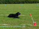 Aus 20 m Entfernung ins Quadrat schicken