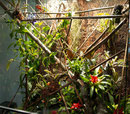 Vladimir - Terrarium