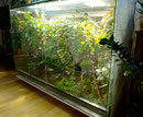Das Terrarium ein Jahr später