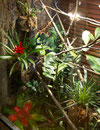 Vitali - Terrarium
