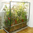 Das Terrarium kurz nach der Einrichtung