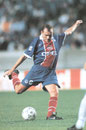 N° 036 - Vincent Guerin