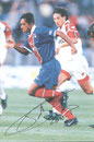 N° 051 - Patrice Loko