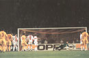 N° 021 - Vincent Fernandez