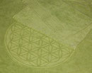 The Spirit of OM - bio-energetische Kleidung