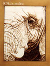 アフリカゾウwoodburning+acrylic 725x550mm