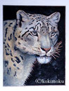 ユキヒョウ BPStechnique+acrylic 235x180mm