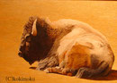 バイソン woodburning+acrylic 730x545mm