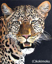 ヒョウ　woodburning+acrylic 　320ｘ280ｍｍ