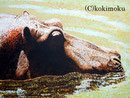 カバ acrylic 545x730mm