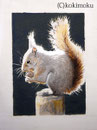 ニホンリス　acrylic 300x200mm