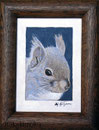 ニホンリス　acrylic 130x90mm