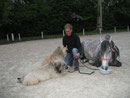 Claudia Fehm mit Ben,Tamie und Hengst Vinco