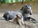 Tamie mit Vinco