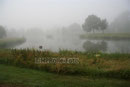 Morgenstimmung am Hexenweiher