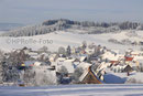 Aasen im Winter 2008/2009
