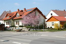 Dorfbrunnen an der Ostbaarstrasse