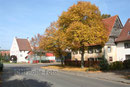 Herbststimmung in der Ostbaarstrasse