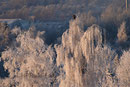Winterzeit auf dem Golfplatz im Januar 2009