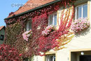 Haus im Anger