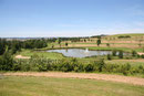 Blick auf den Golfplatz mit Pfohrbachweiher
