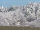 Die Lourdesgrotte am Buchwald