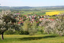 Aasen im Frühling