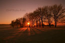 Sonnenaufgang auf der Aasener Höhe im Januar 2009