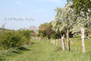 Wanderweg unterhalb des Panoramaweges in Aasen