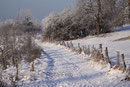 Wanderweg in Aasen im Januar 2009