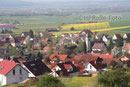 Aasen im Frühling