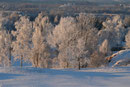 Winterzeit auf dem Golfplatz im Januar 2009