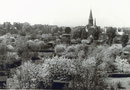 Dortmund-Körne Blick von Dortmund-Wambel aus der Schrebergartenanlage Friedlicher Nachbar Fotografie ca. 1950-1960