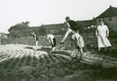 Im Garten Am Bertholdshof 56 im Hintergrund die Häuser Lange Reihe (Nordfront) -  Fotografie 1936