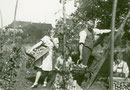 Bei der Obsternte im Garten Bertoldshof 56, im Hintergrund die Südseite der Häuser Düsterstraße Nr. 3 und 5 -  Fotografie 1936