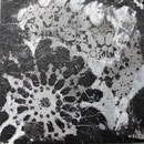 monochrome Gestaltungen 30x30cm 2011 Acryl
