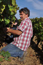 Géraud de la Farge Domaine de l'Ermitage Menetou-Salon Photo: V.Hadengue