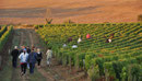 Départ pour les vendanges Domaine de l'Ermitage Menetou-Salon Photo: V.Hadengue