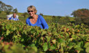 Laurence de la Farge Domaine de l'Ermitage Menetou-Salon Photo: V.Hadengue