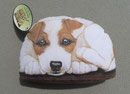 Jack Russel PupperWeight