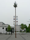 Der Maibaum 2009 auf dem Place de Caen steht