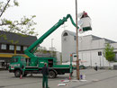 Das Gartenamt der Stadt stellt den Baum auf
