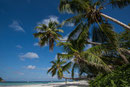 Strand Cote d'Or resp. Anse Volbert