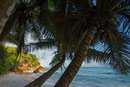 Strand Anse Patates; Sonnenaufgang fotografiert von 06:00 bis 08:00