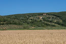 Massa Marittima - Podere Acquarello