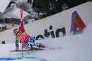 Marcel Hirscher (A) - Platz 2